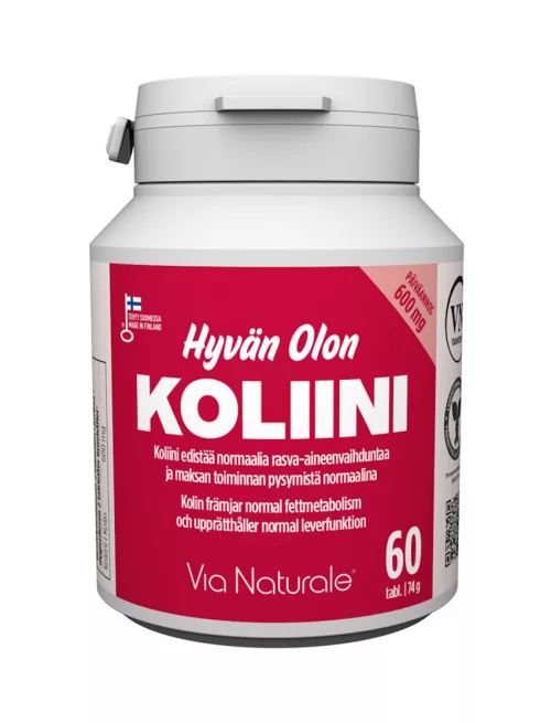 VN Hyvän Olon Холин 600 мг, 60 таблеток 