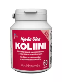 VN Hyvän Olon Холин 600 мг, 60 таблеток 
